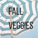 Autumn Featured Vegetable Recipes